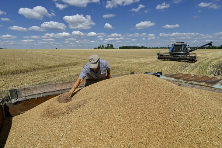 Ucraina isi cauta rute alternative pentru exportul cerealelor din cauza blocarii porturilor de catre Rusia
