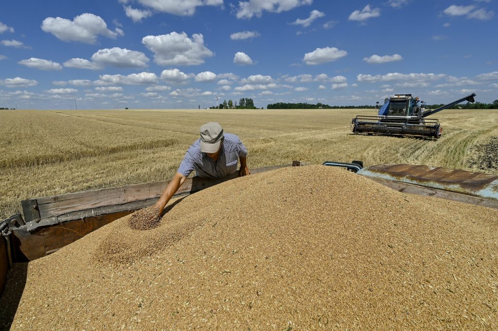 Ucraina isi cauta rute alternative pentru exportul cerealelor din cauza blocarii porturilor de catre Rusia