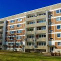 Un gest simplu intr un bloc poate atage o amenda de 800 de euro Ce este interzis