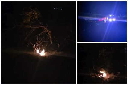 VIDEO. Focarele de incendiu au reapărut în livada de pe strada Spicului din Cluj-Napoca. Locuitorii sunt în alertă: „Zona din apropierea caselor este în pericol”
