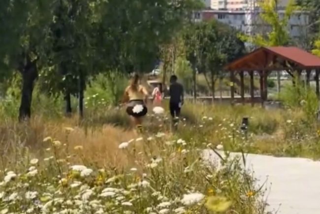 VIDEO Intrebarea care a tensionat mii de clujeni are raspuns De ce nu se cosesc iarba de pe malul Somesului Nu este din cauza lipsei de fonduri