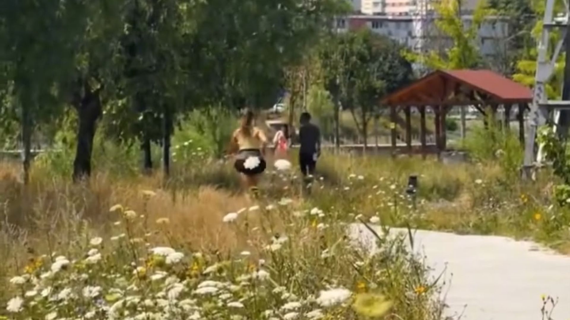 VIDEO Intrebarea care a tensionat mii de clujeni are raspuns De ce nu se cosesc iarba de pe malul Somesului Nu este din cauza lipsei de fonduri