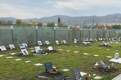 Vești bune pentru pasionații de animale: Primăria a aprobat înființarea unui cimitir pentru animale în Cluj-Napoca.
