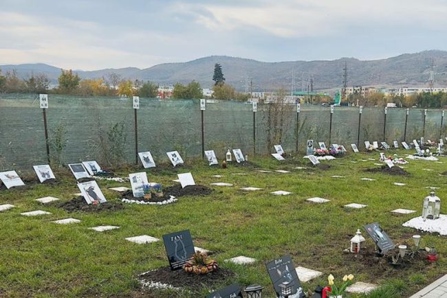 Vesti bune pentru pasionatii de animale Primaria a aprobat infiintarea unui cimitir pentru animale in Cluj Napoca