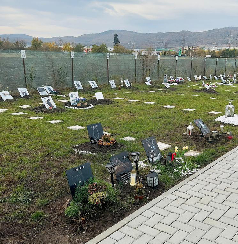 Vesti bune pentru pasionatii de animale Primaria a aprobat infiintarea unui cimitir pentru animale in Cluj Napoca
