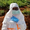 Virusul Ebola ar putea suferi mutatii Autoritatile africane iau masuri fara precedent dupa cresterea ingrijoratoare a numarului de cazuri