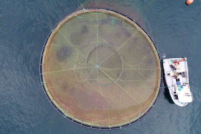 cea mai mare ferma de somon din ue va fi constructa in franta ecologistii contesta proiectul