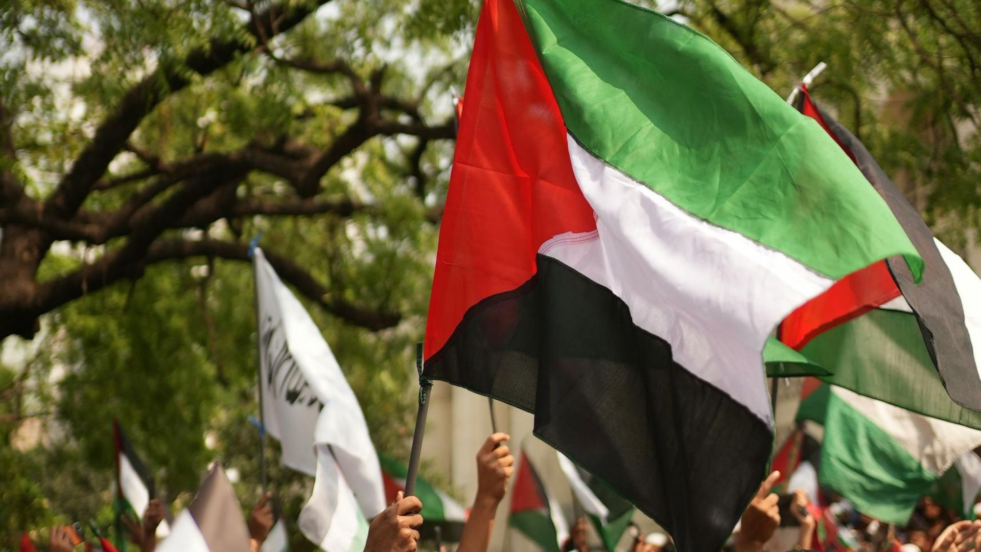 formatia britanica interzisa in singapore dupa ce a expus un steag palestinian in timpul unui concert