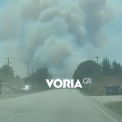 incendiu de amploare intr o zona din grecia apreciata de romani turistii au fost evacuati