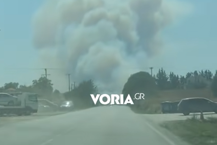incendiu de amploare intr o zona din grecia apreciata de romani turistii au fost evacuati