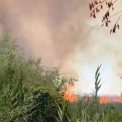 incendiu devastator in delta dunarii 700 de hectare de vegetatie uscata si padure afectate