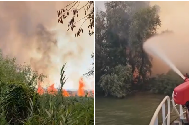 incendiu devastator in delta dunarii riscul de extindere catre fondul forestier este ridicat arafat interventia pe apa este esentiala