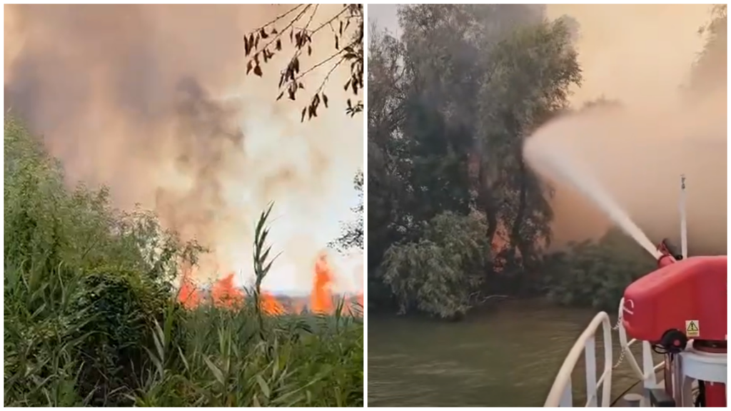 incendiu devastator in delta dunarii riscul de extindere catre fondul forestier este ridicat arafat interventia pe apa este esentiala