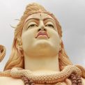 incendiu urmat de o busculada mortala in india cu ocazia sarbatorii dedicata zeului shiva 14 peleriniau murit