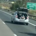 nebunie pe a1 la sibiu un tanar filma din portbagaj iar motociclistul era parte din spectacol