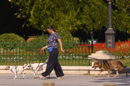 Noi politici implementate prin Codul Urbanismului: mai multe spații verzi și condiții îmbunătățite pentru pietoni și bicicliști.