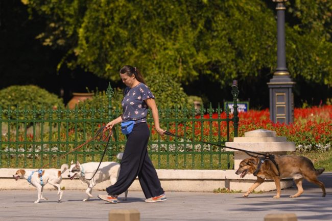 noi politici implementate prin codul urbanismului mai multe spatii verzi si conditii imbunatatite pentru pietoni si biciclisti