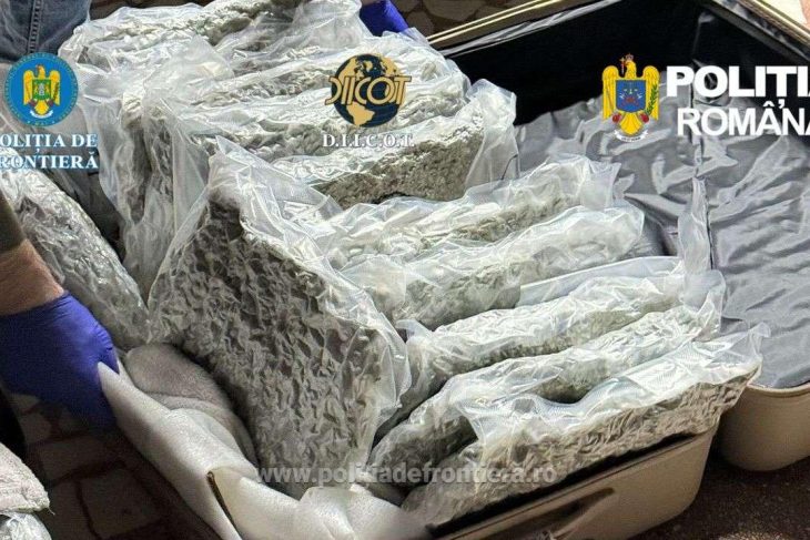 sapte tineri retinuti la brasov intr un caz de trafic de cannabis cel mai tanar dintre ei are 15 ani
