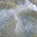 Incendiu de pădure la Băile Olănești stins cu ajutorul aeronavelor