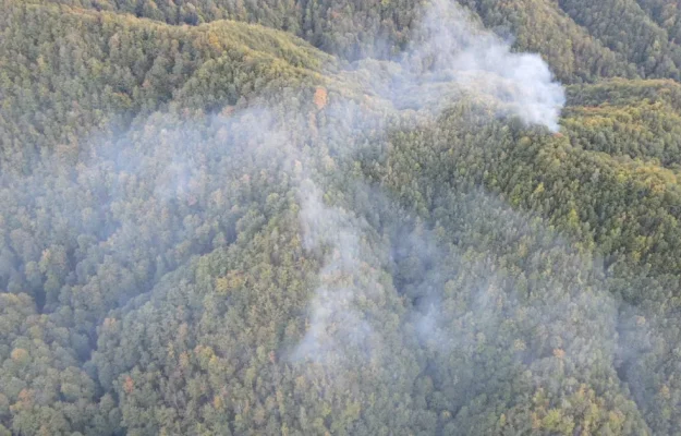 Incendiu de pădure la Băile Olănești stins cu ajutorul aeronavelor