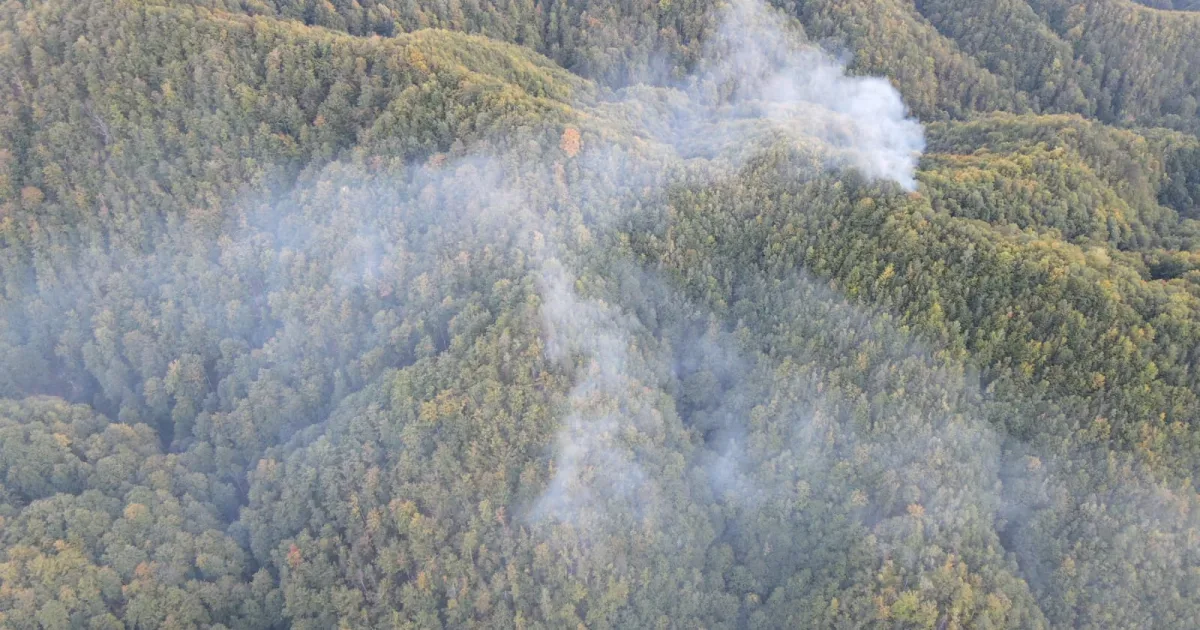 Incendiu de pădure la Băile Olănești stins cu ajutorul aeronavelor
