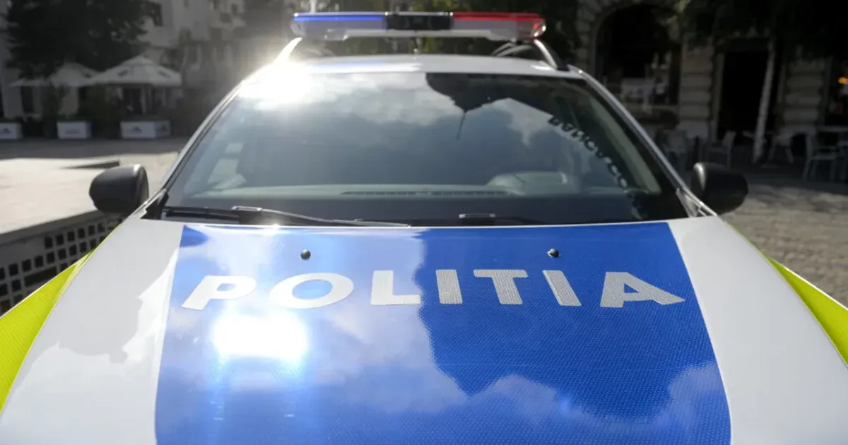 Patru arestați după furtul a 332 de sticle de vin de colecție dintr-o cramă