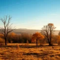 ANM anunță o toamnă caldă: temperaturi peste medie în următoarele patru săptămâni