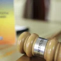 CCR: Normele ce stabilesc daunele morale pentru victimele atacurilor animalelor...