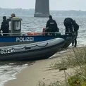 Patru cetățeni români, bănuiți de omor și profanare de cadavre în Danemarca