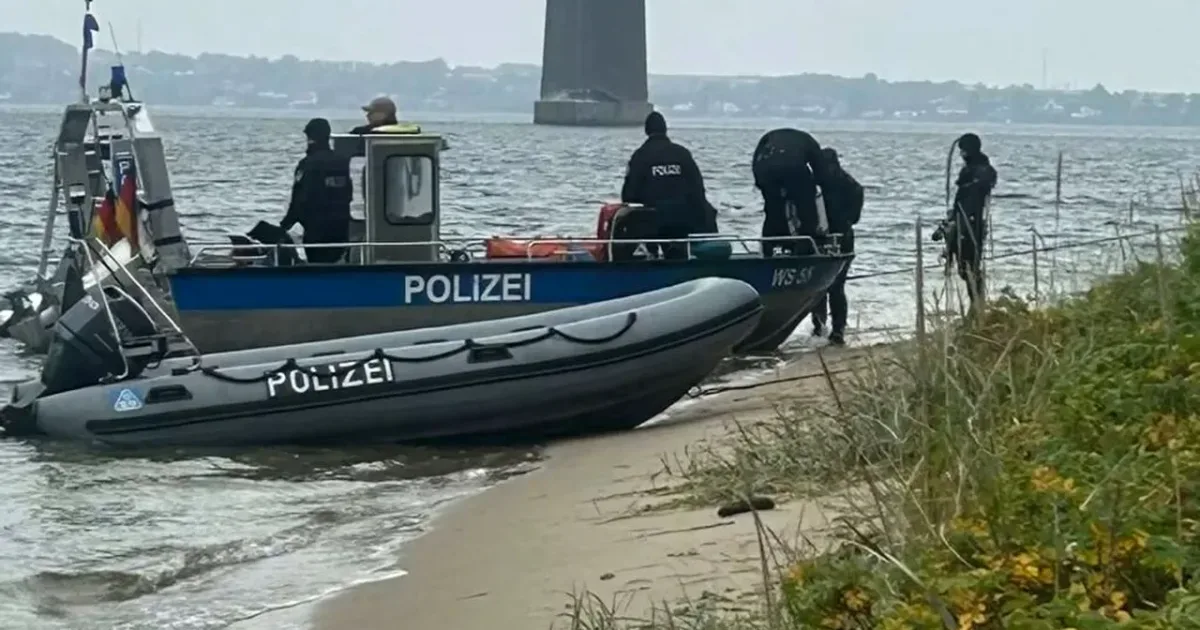 Patru cetățeni români, bănuiți de omor și profanare de cadavre în Danemarca